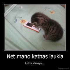 Net mano katnas laukia - kol tu atrasysi...