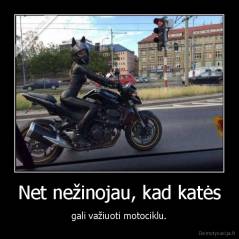 Net nežinojau, kad katės - gali važiuoti motociklu.