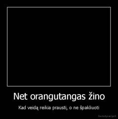 Net orangutangas žino - Kad veidą reikia prausti, o ne špakliuoti