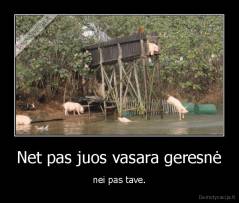 Net pas juos vasara geresnė - nei pas tave.