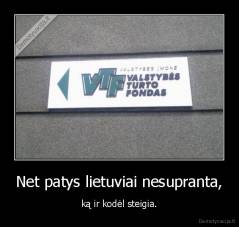 Net patys lietuviai nesupranta, - ką ir kodėl steigia.