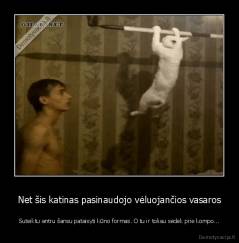 Net šis katinas pasinaudojo vėluojančios vasaros - Suteiktu antru šansu pataisyti kūno formas. O tu ir toliau sėdėk prie kompo...