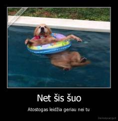 Net šis šuo - Atostogas leidžia geriau nei tu