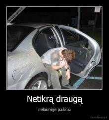 Netikrą draugą - nelaimėje pažinsi