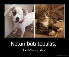 Neturi būti tobulas,  - kad būtum gražus.