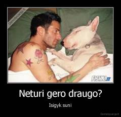 Neturi gero draugo? - Isigyk suni