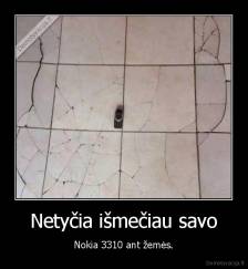 Netyčia išmečiau savo - Nokia 3310 ant žemės.