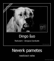 Neverk pametes - nesidziauk rades