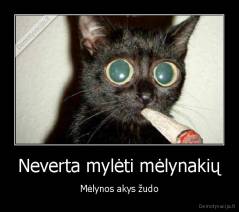 Neverta mylėti mėlynakių - Mėlynos akys žudo