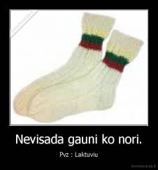 Nevisada gauni ko nori. - Pvz : Laktuviu
