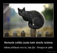 Nevisada sutikta juoda katė atneša nelaimę - viskas priklauso nuo to, kas jūs - žmogus ar pėlė.
