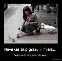 Neviskas taip grazu ir miela.... - Kaip atrodo is pirmo zvilgsnio...