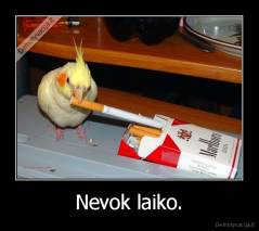 Nevok laiko. - 