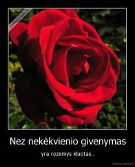 Nez nekėkvienio givenymas - yra rozemys kluotas..