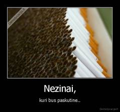 Nezinai, - kuri bus paskutine..