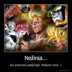 Nežinia... -  kur įmanoma pasijungti  drakonu kova  ? 