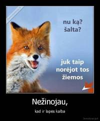 Nežinojau, - kad ir lapės kalba