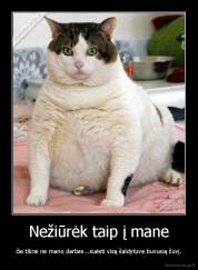 Nežiūrėk taip į mane - čia tikrai ne mano darbas...suėsti visą šaldytuve buvusią žuvį.