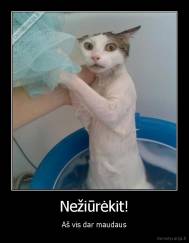 Nežiūrėkit! - Aš vis dar maudaus