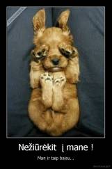 Nežiūrėkit  į mane ! - Man ir taip baisu...