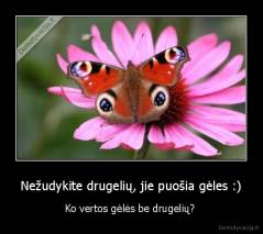 Nežudykite drugelių, jie puošia gėles :) - Ko vertos gėlės be drugelių? 