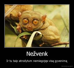 Nežvenk - Ir tu taip atrodytum nemiegojęs visą gyvenimą