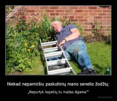 Niekad nepamiršiu paskutinių mano senelio žodžių: - „Nepurtyk kopėčių tu mažas išgama!“