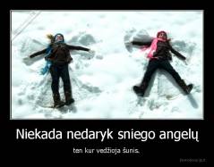 Niekada nedaryk sniego angelų - ten kur vedžioja šunis.