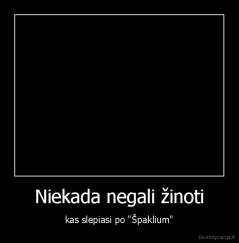 Niekada negali žinoti - kas slepiasi po "Špaklium"