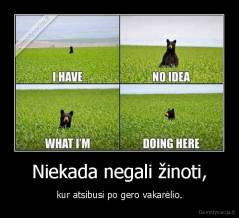 Niekada negali žinoti, - kur atsibusi po gero vakarėlio.