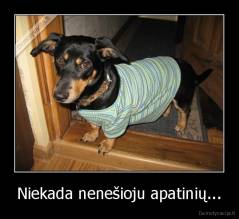 Niekada nenešioju apatinių... - 