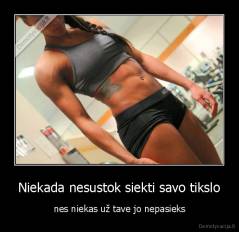 Niekada nesustok siekti savo tikslo - nes niekas už tave jo nepasieks