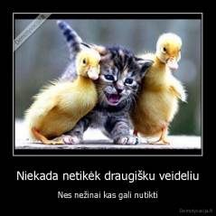 Niekada netikėk draugišku veideliu - Nes nežinai kas gali nutikti