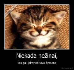 Niekada nežinai, - kas gali įsimylėti tavo šypseną