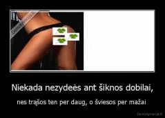 Niekada nezydeės ant šiknos dobilai, - nes trąšos ten per daug, o šviesos per mažai 