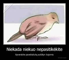 Niekada niekuo nepasitikėkite - Apverskite paveiksliuką aukštyn kojomis
