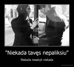 "Niekada tavęs nepaliksiu" - Niekada nesakyk niekada