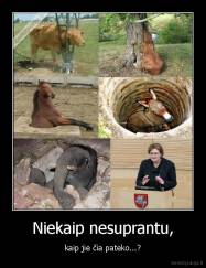 Niekaip nesuprantu, - kaip jie čia pateko...?