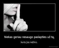 Niekas geriau nesaugo paslapties už tą, - kuris jos nežino. 