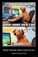 Niekas internete nežino, kad tu esi šuo - Spausk like, jei esi šuo