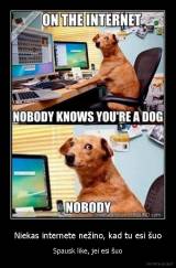 Niekas internete nežino, kad tu esi šuo - Spausk like, jei esi šuo