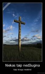 Niekas taip nedžiugina - Kaip draugo nesekmė