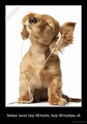 Niekas taves taip NEmylės, kaip NEmylėjau aš - 