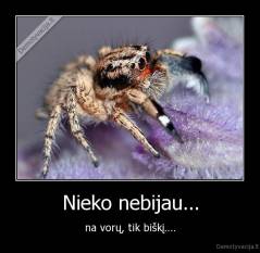 Nieko nebijau... - na vorų, tik biškį....