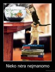 Nieko nėra neįmanomo - 