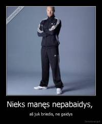 Nieks manęs nepabaidys,  - aš juk briedis, ne gaidys
