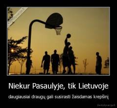 Niekur Pasaulyje, tik Lietuvoje - daugiausiai draugų gali susirasti žaisdamas krepšinį