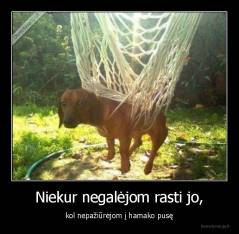 Niekur negalėjom rasti jo, - kol nepažiūrėjom į hamako pusę