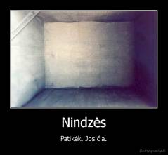 Nindzės - Patikėk. Jos čia.