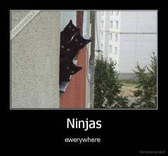 Ninjas - ewerywhere 